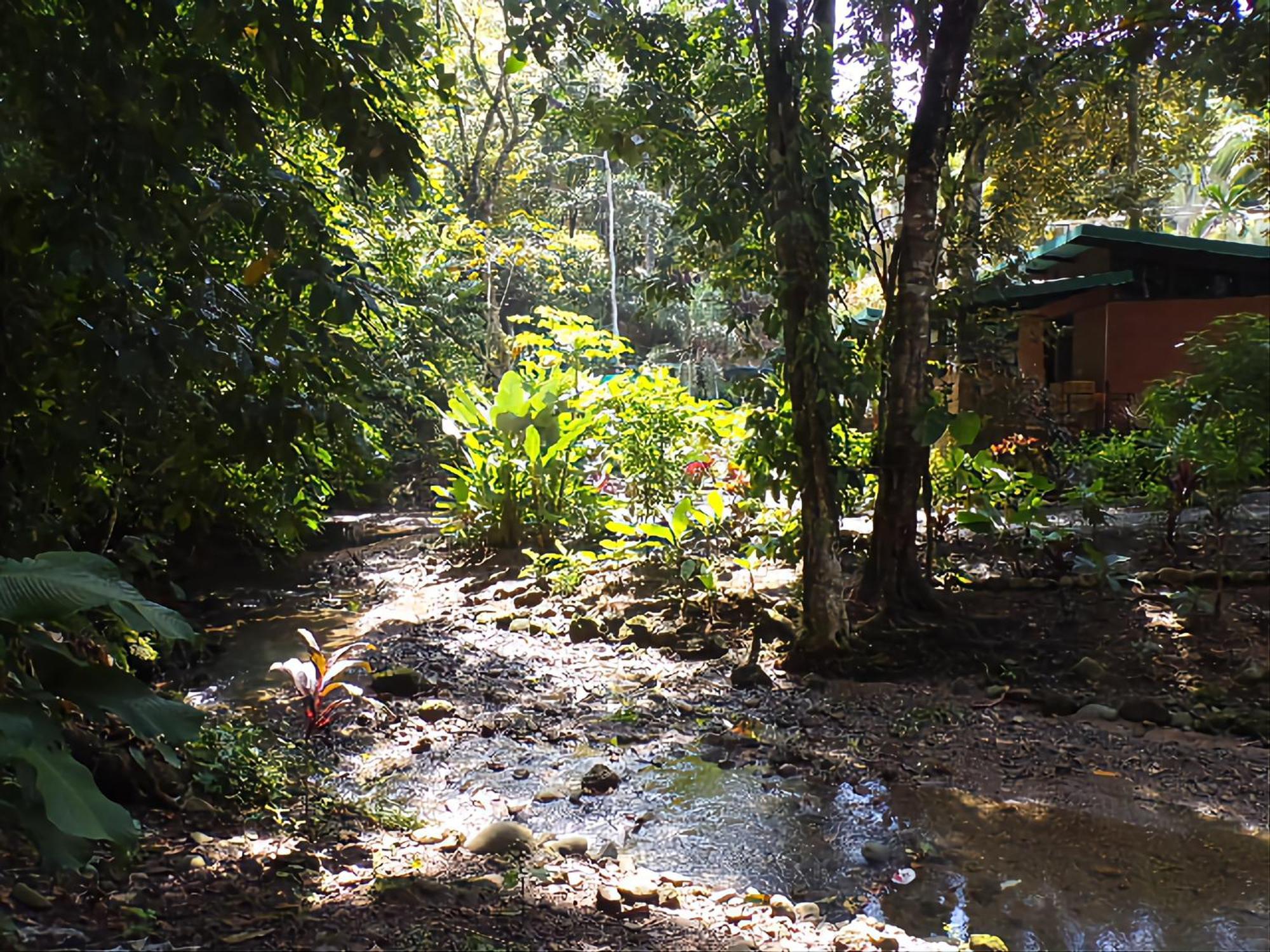 Riverside Villas Manuel Antonio Exterior photo