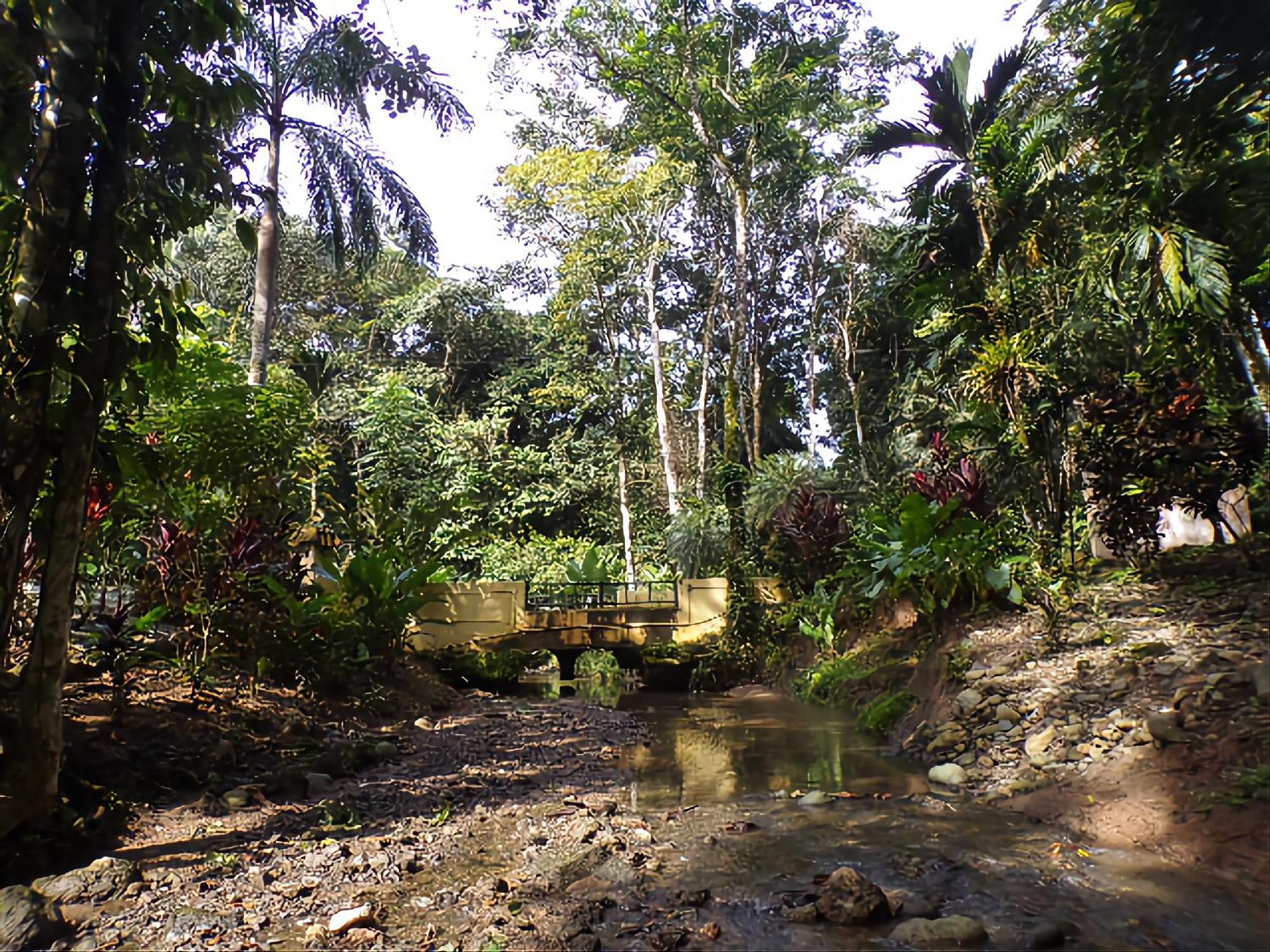 Riverside Villas Manuel Antonio Exterior photo