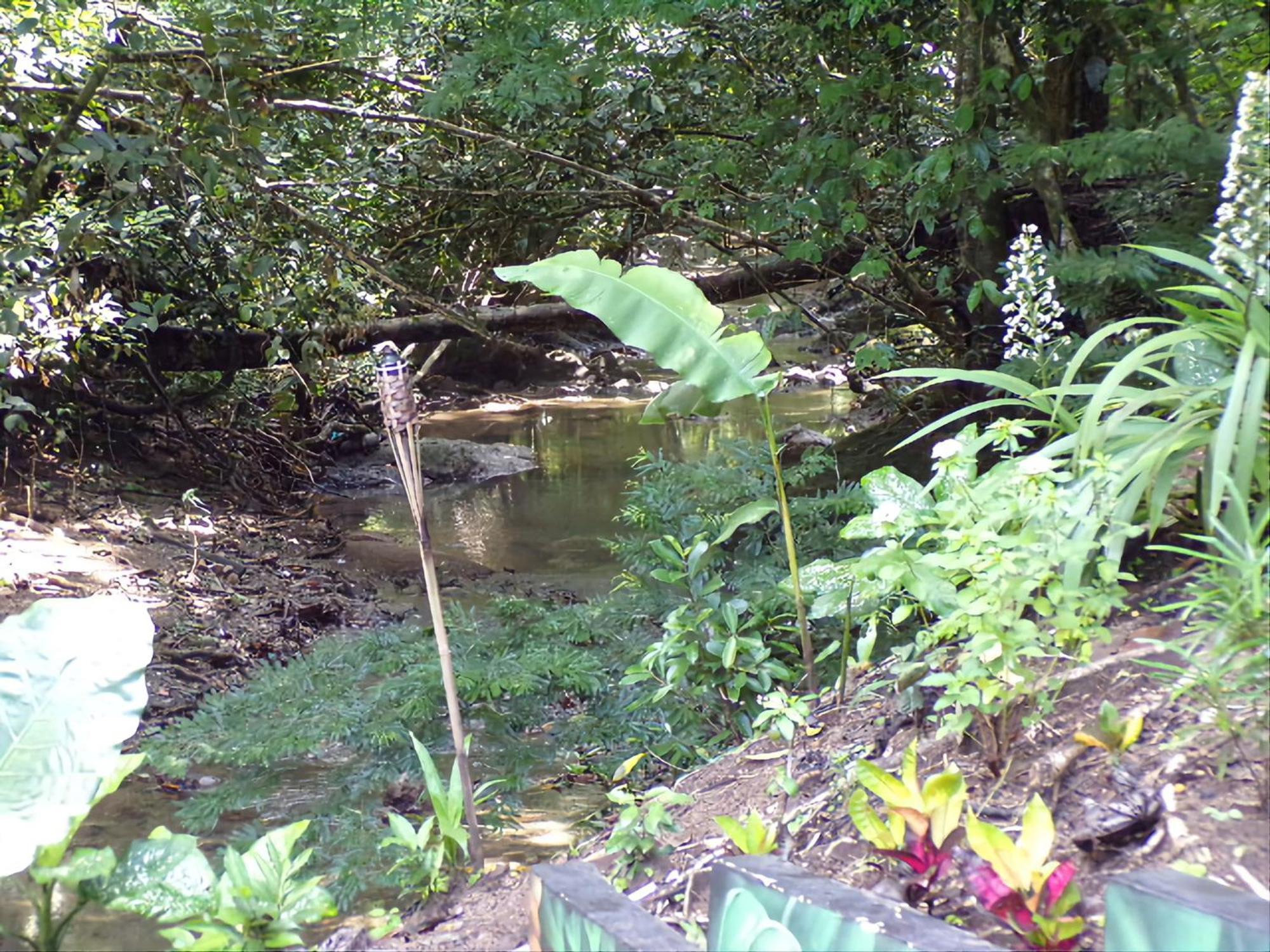 Riverside Villas Manuel Antonio Exterior photo